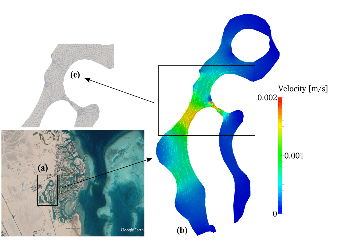 (a) Study area (framed) in El Gouna, Egypt; (b) flow field of the computational domain under tide and wind effects; (c) zoom of the mesh.